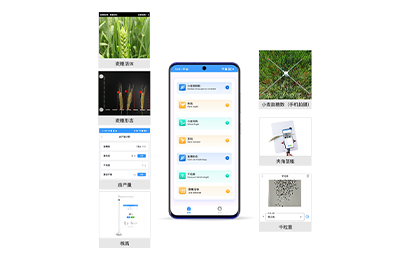 徐州市小麦表型检测仪IN-XM04